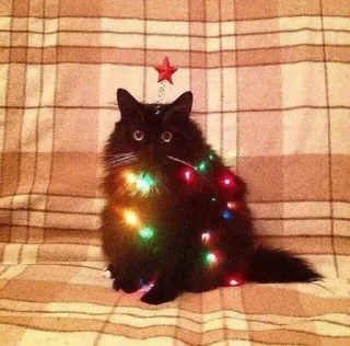 🎄 emoji Магістерка крінжі 3.0 Telegram sticker 12 of 93
