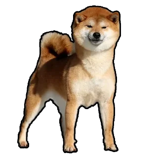 😣 emoji Тот самый хлеб Telegram sticker 16 of 107
