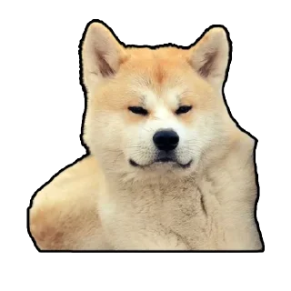😠 emoji Тот самый хлеб Telegram sticker 19 of 107