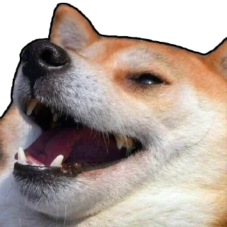 😁 emoji Тот самый хлеб Telegram sticker 9 of 107