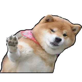 🙋 emoji Тот самый хлеб Telegram sticker 13 of 107