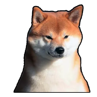 😏 emoji Тот самый хлеб Telegram sticker 7 of 107