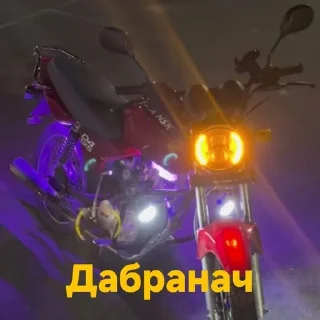 🌟 emoji Дэчык Telegram sticker 9 of 12