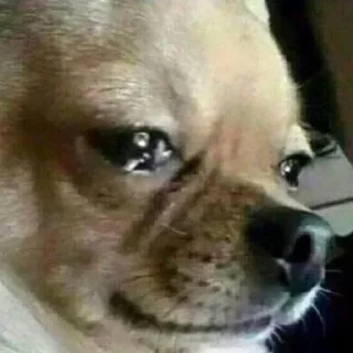 😞 emoji Избранные Telegram sticker 12 of 120