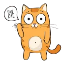Sticker from Kitten @stickersb2b