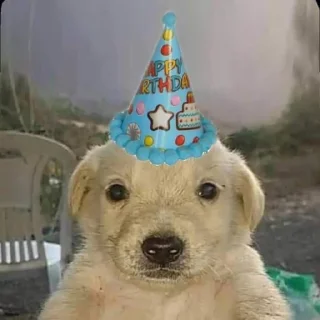 Sticker from Puppy