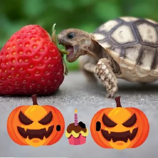😅 emoji Мем Telegram sticker 16 of 18