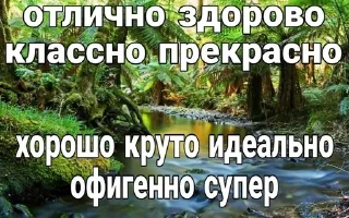 Sticker from природа ахуенная