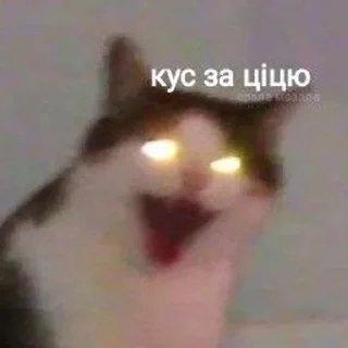 😆 emoji Українські меми Telegram sticker 18 of 83