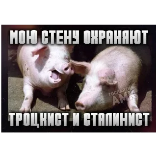 😝 emoji Они такие... Telegram sticker 14 of 28