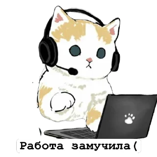 💻 emoji Cats by https://t.me/Um_Bilal_111  fStikBot Telegram sticker 9 of 11