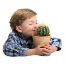 Sticker from Stock buddies