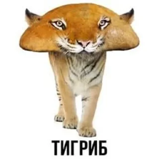 🌟 emoji мем Telegram sticker 7 of 120