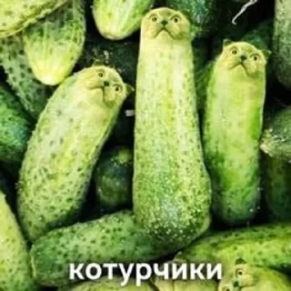 🌟 emoji мем Telegram sticker 8 of 120