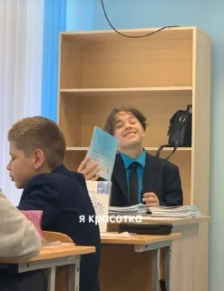 Sticker from я вашу алгебру вертел