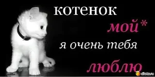 Sticker from OD