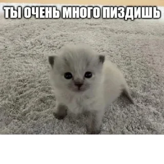 ☺️ emoji Стикеры👉 @stikeru7777 Telegram sticker 24 of 74