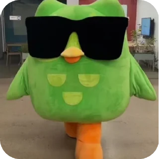 😎 emoji DuolingoWillFindYou@Romelix Telegram sticker 21 of 30