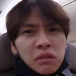 🤢 emoji Минхо Telegram sticker 5 of 44