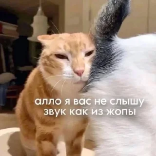Sticker from пуки каки