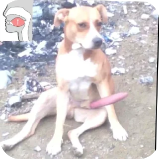 👍 emoji Ещкере сигма, блять чем я занимаюсь лучше бы..... Telegram sticker 1 of 120