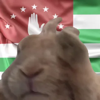 🐰 emoji asida @Ctikerubot Telegram sticker 24 of 32