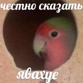 Sticker from mood