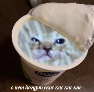 🐱 emoji Картиночкисмешные Telegram sticker 17 of 120