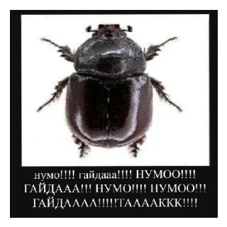 🥳 emoji Для важливих перемовин Telegram sticker 16 of 43