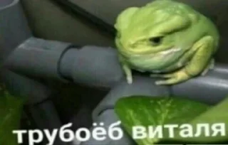 🎺 emoji Больше стикеров: @sticerru Telegram sticker 14 of 120