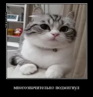 😜 emoji Больше стикеров 👉🏻 @stickertg4 Telegram sticker 17 of 50