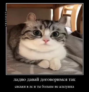 🙂 emoji Больше стикеров 👉🏻 @stickertg4 Telegram sticker 8 of 50