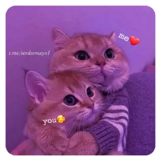 💋 emoji Хулиган:) Telegram sticker 16 of 32