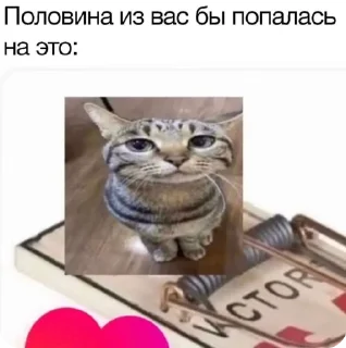 🌟 emoji я который самый несчастный Telegram sticker 8 of 60