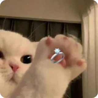 💍 emoji СНЕГ ГЕЙ?!! И ФЕДЯ?!!! Telegram sticker 10 of 51