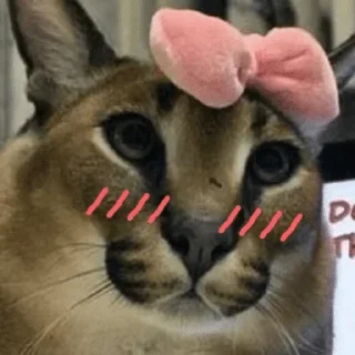 ☺️ emoji SexyFloppa — @stckrRobot Telegram sticker 5 of 120