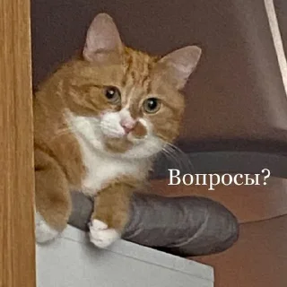 🤓 emoji Дед покоритель сердец Telegram sticker 8 of 47