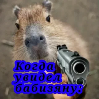 💪 emoji Капибары топ, за капибар Telegram sticker 3 of 17