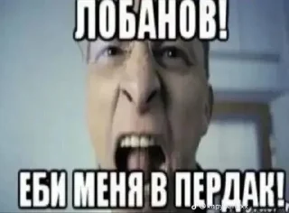 😮 emoji Зоофилия форевер Telegram sticker 6 of 117