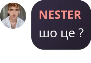 🤔 emoji нестер каже Telegram sticker 18 of 120