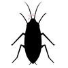 🥹 emoji ТАРАКАНЧІКІ ➡️ @Ctikerubot Telegram sticker 5 of 9
