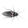 😜 emoji ТАРАКАНЧІКІ ➡️ @Ctikerubot Telegram sticker 3 of 9