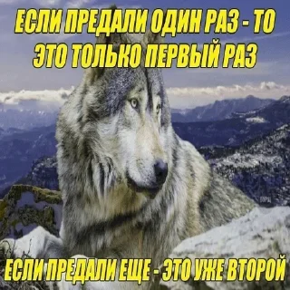 😢 emoji Больше стиков тут: @stikery4 Telegram sticker 21 of 21