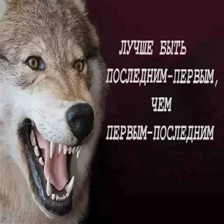 😎 emoji Больше стиков тут: @stikery4 Telegram sticker 14 of 21