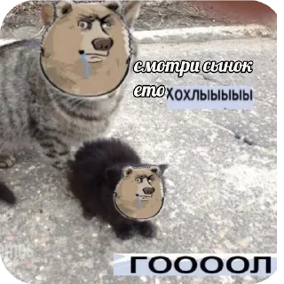 🐱 emoji быабыээээпэвбвбвюыэыэыээээ Telegram sticker 8 of 10
