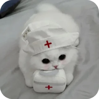 🐱 emoji Мягкие всратыши @meowkyit 1 Telegram sticker 17 of 30