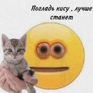 🌚 emoji Хз че Telegram sticker 21 of 111