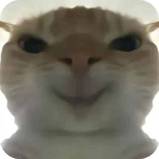 🐱 emoji Нуда @Unni9ue Telegram sticker 10 of 20