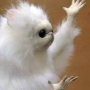🙄 emoji Забавные животные (@safthome) Telegram sticker 8 of 119