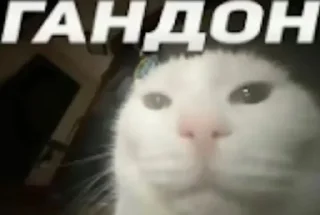 🤩 emoji Пак виртуального паяльника @TgEmodziBot Telegram sticker 14 of 47